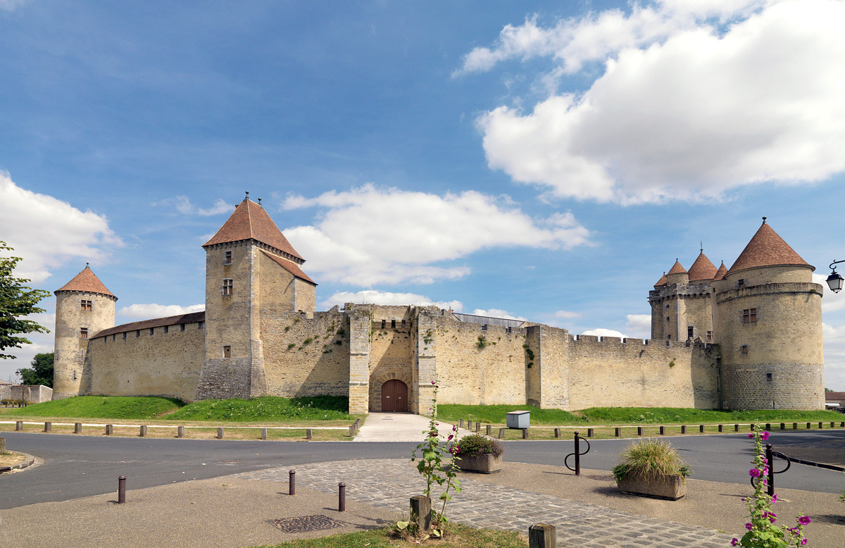 Vue générale, depuis le nord-ouest. Château fort