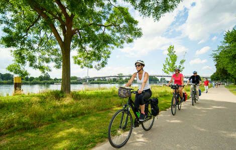 France – Alsace – Cycle Touring 2 © B. Salmanski - ADT - ARTGE