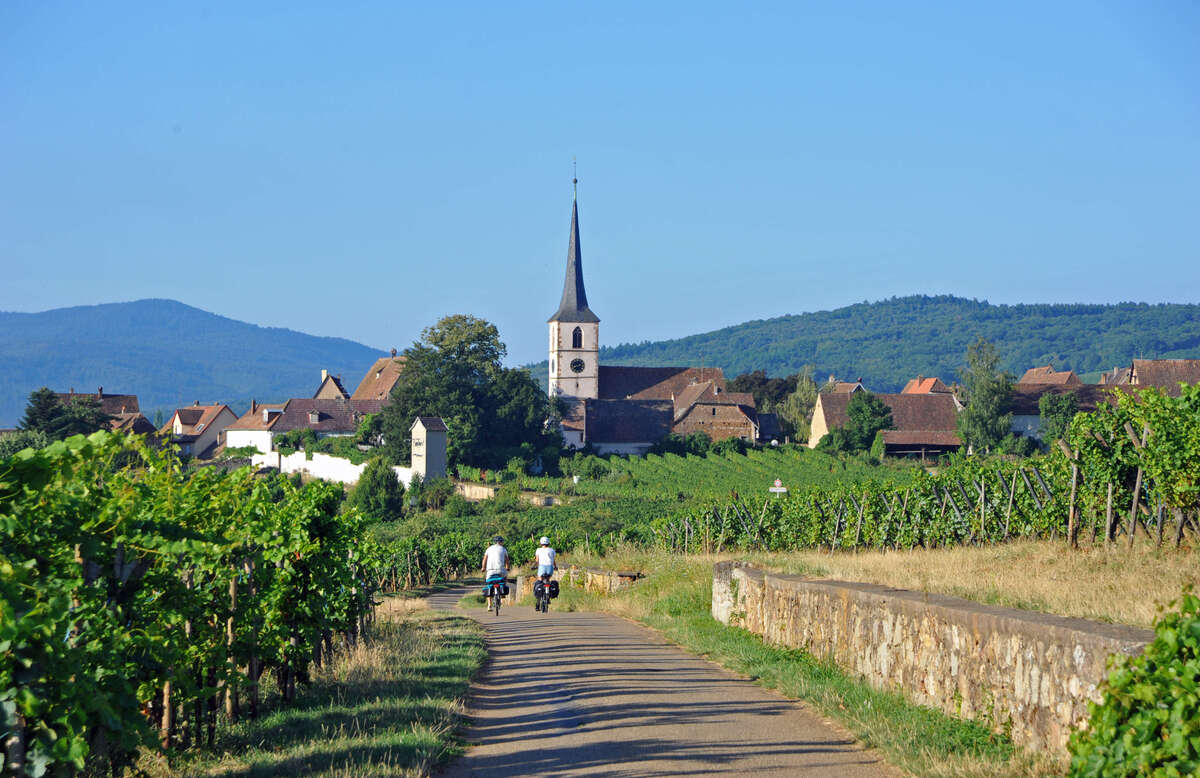 France – Alsace – Cycle Touring 2 © C.FLEITH 001