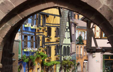 France – Alsace – Cycle Touring 5 ©M. Schampion