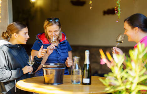 France – Alsace – Cycle Touring 6 © B. Salmanski - ADT - ARTGE