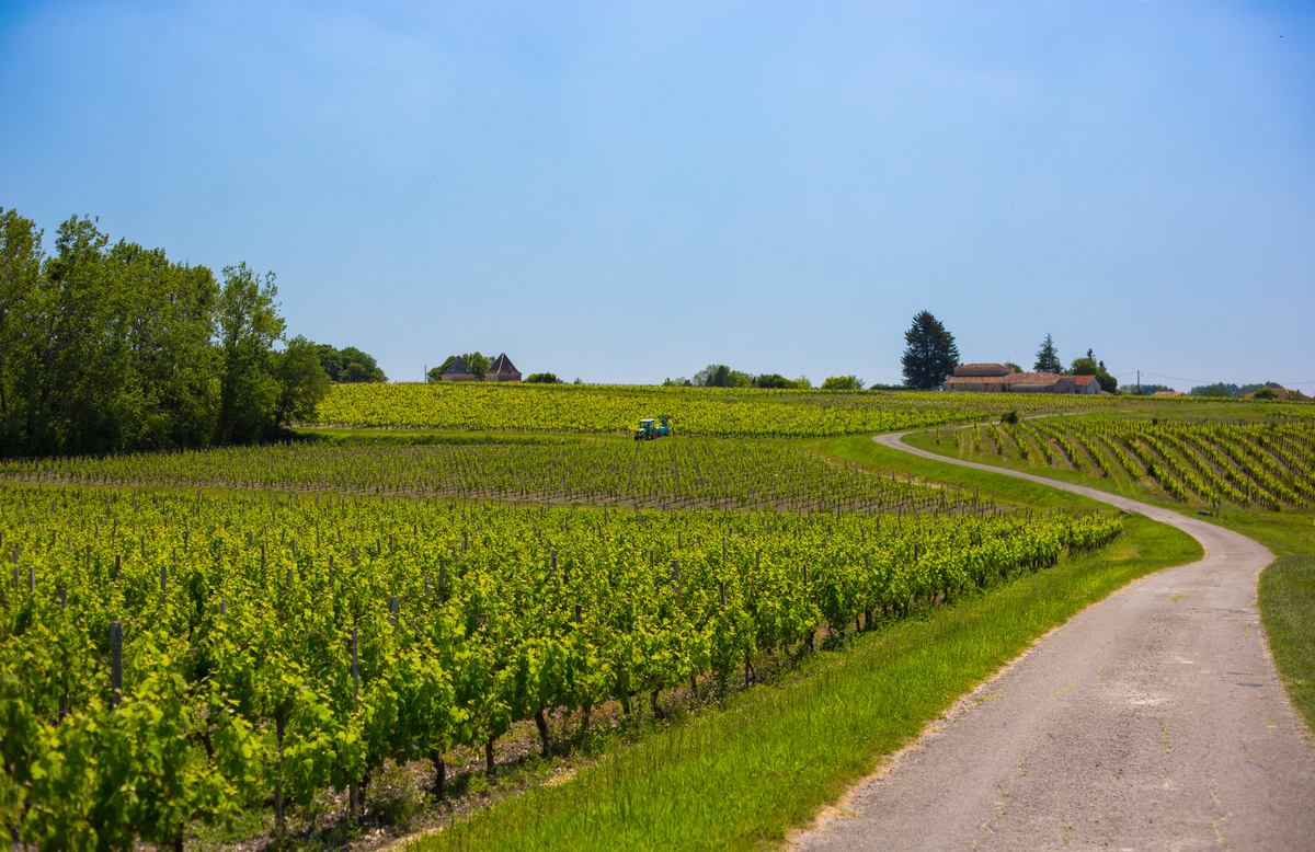 8 - © David Remazeilles (Gironde Tourisme) Blaye 4