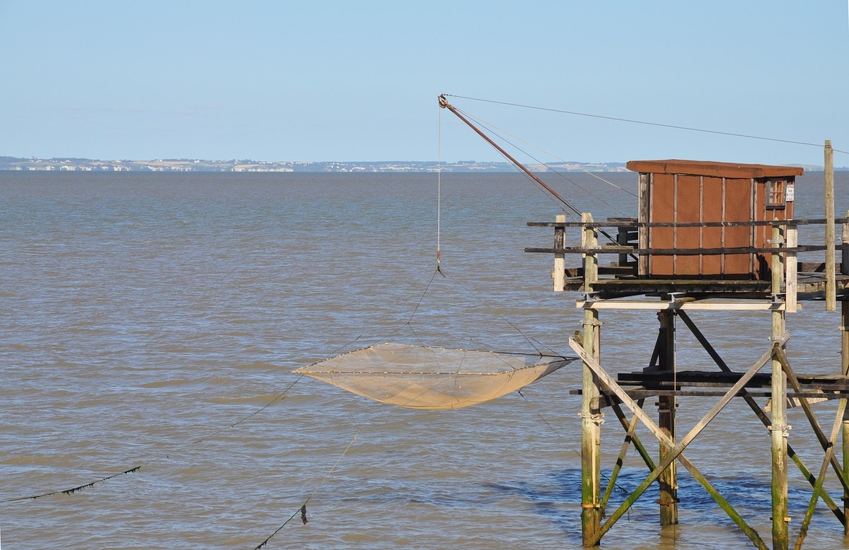 Estuaire (c)Momolebo2020