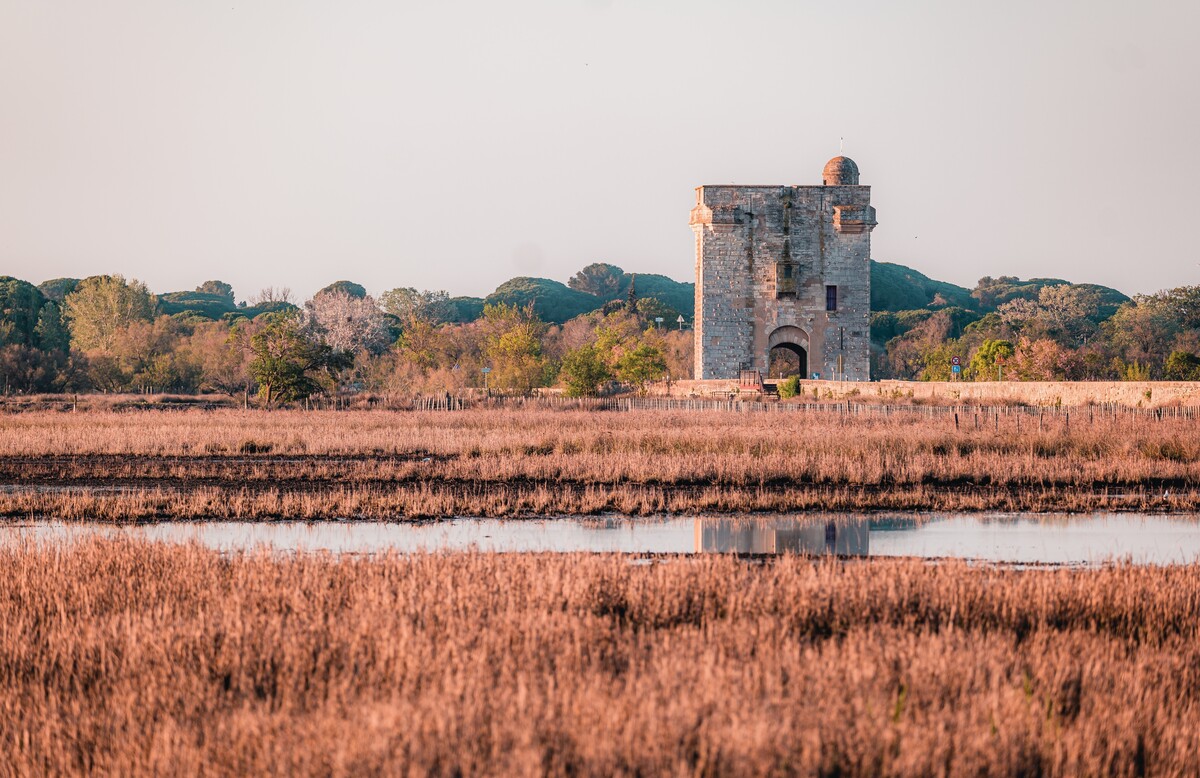 Saint Laurent d'Aigouze, Tour Carbonniere et marais de Camargue