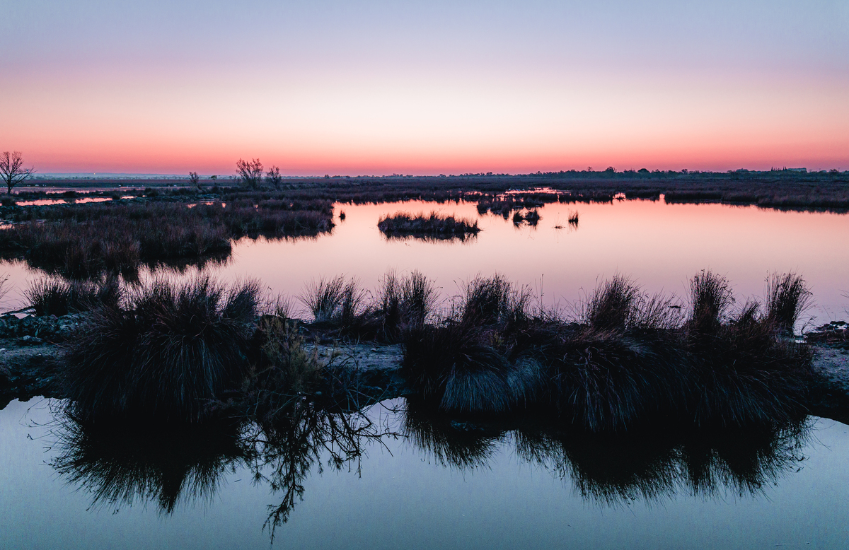 Tour Carbonniere et marais de Camargue