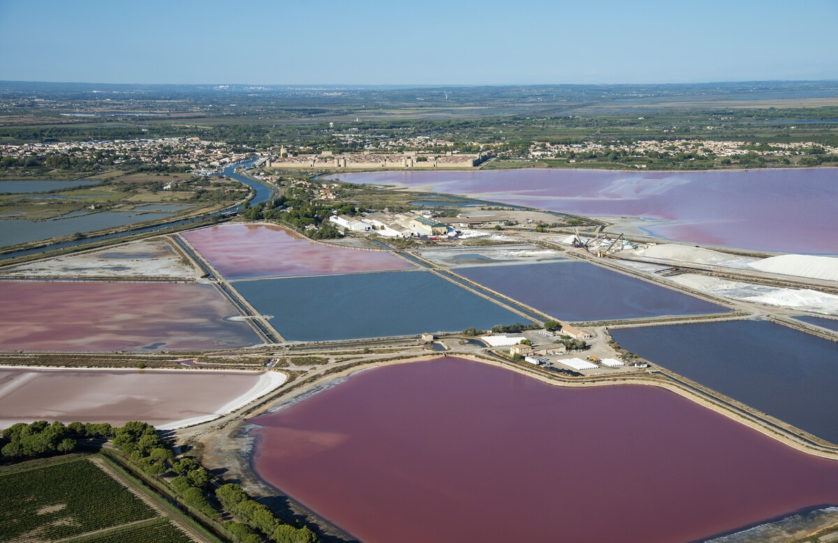 Salin d'Aigues-mortes