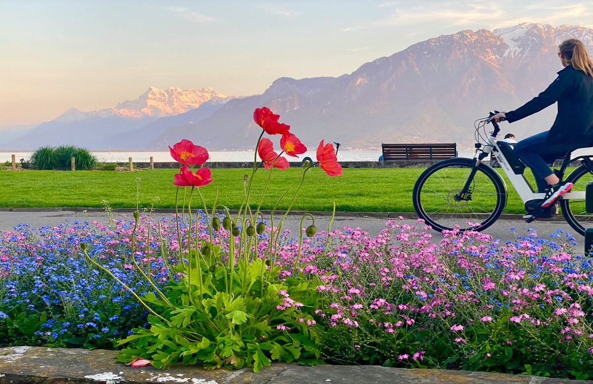 Vevey (c)rich-martello