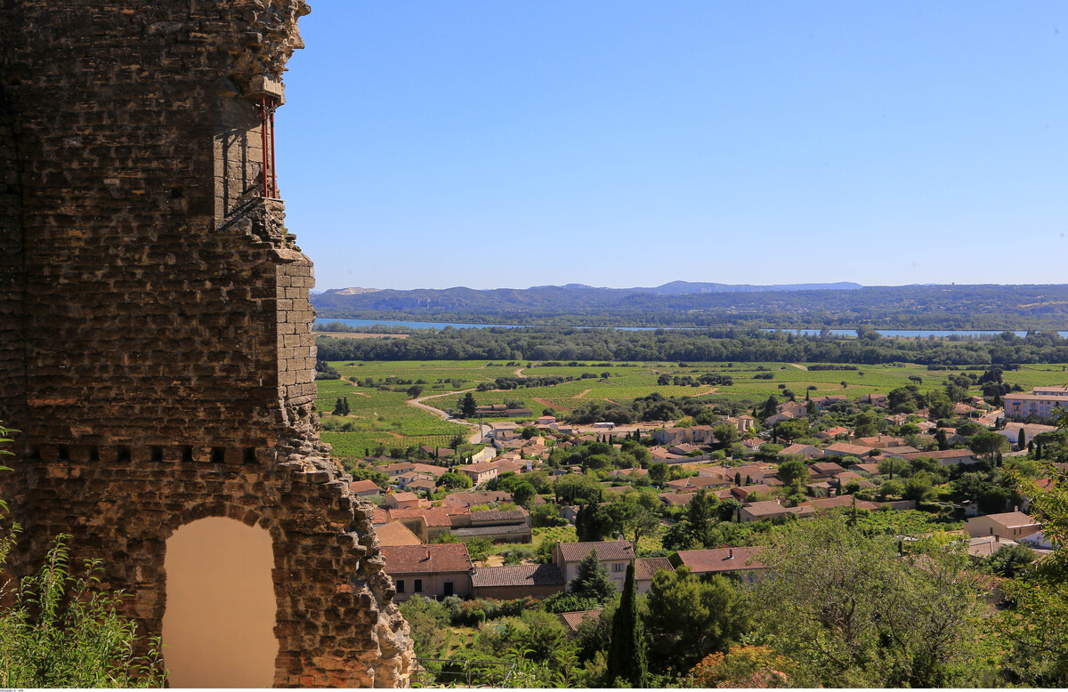 chateauneuf-du-pape - - Photo-Alain-Hocquel-1378