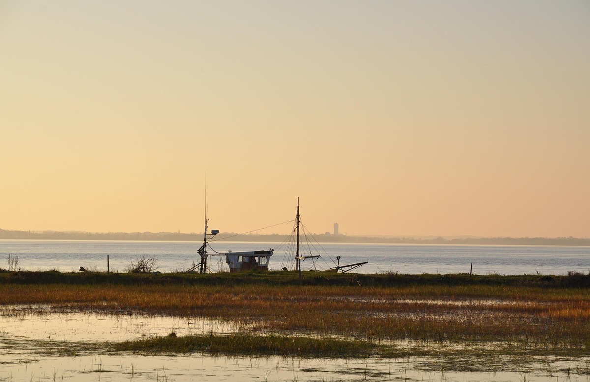 estuaire gironde (c)Momolebo2020