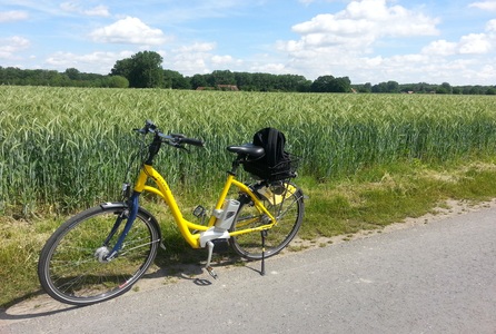 vélo à assistance électrique pour voyage cyclotourisme